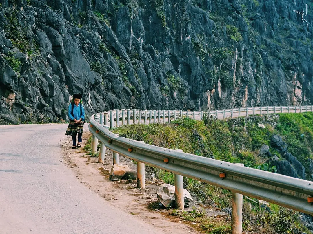 Kh&ocirc;ng thể rời mắt với lịch tr&igrave;nh kh&aacute;m ph&aacute; m&ugrave;a hoa tam gi&aacute;c mạch si&ecirc;u xịn 11