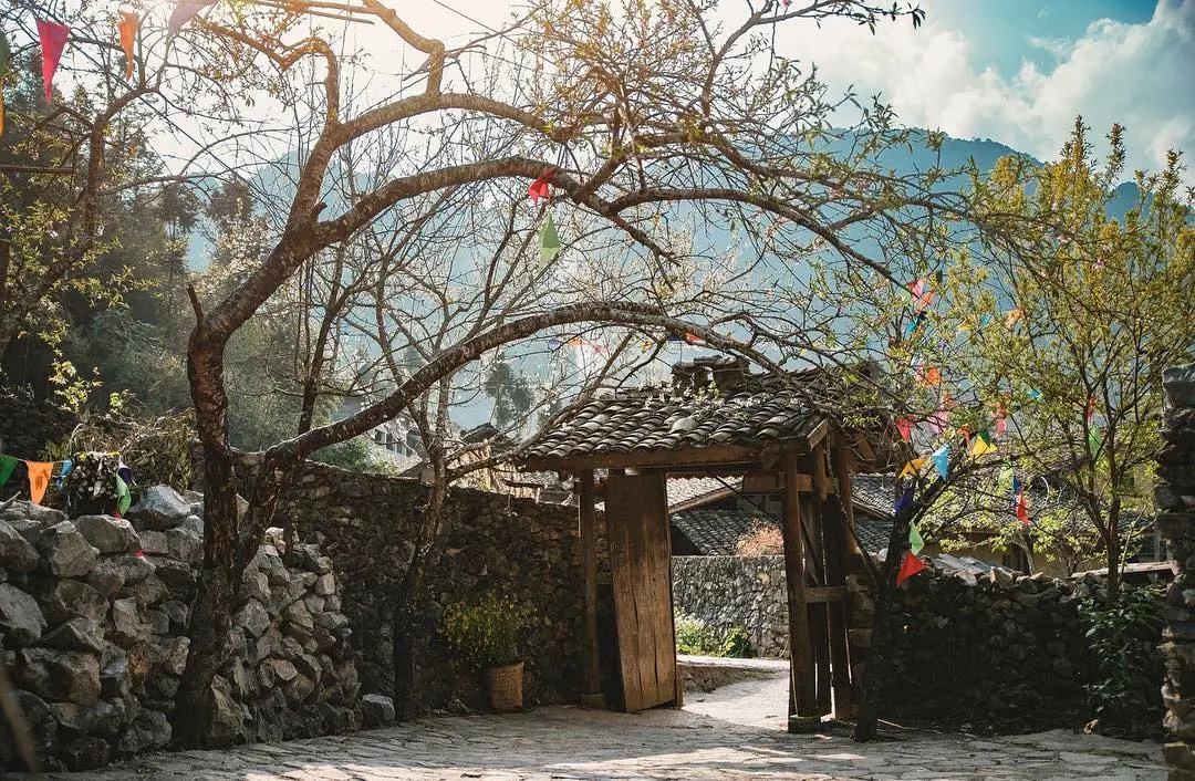 Kh&ocirc;ng thể rời mắt với lịch tr&igrave;nh kh&aacute;m ph&aacute; m&ugrave;a hoa tam gi&aacute;c mạch si&ecirc;u xịn 6