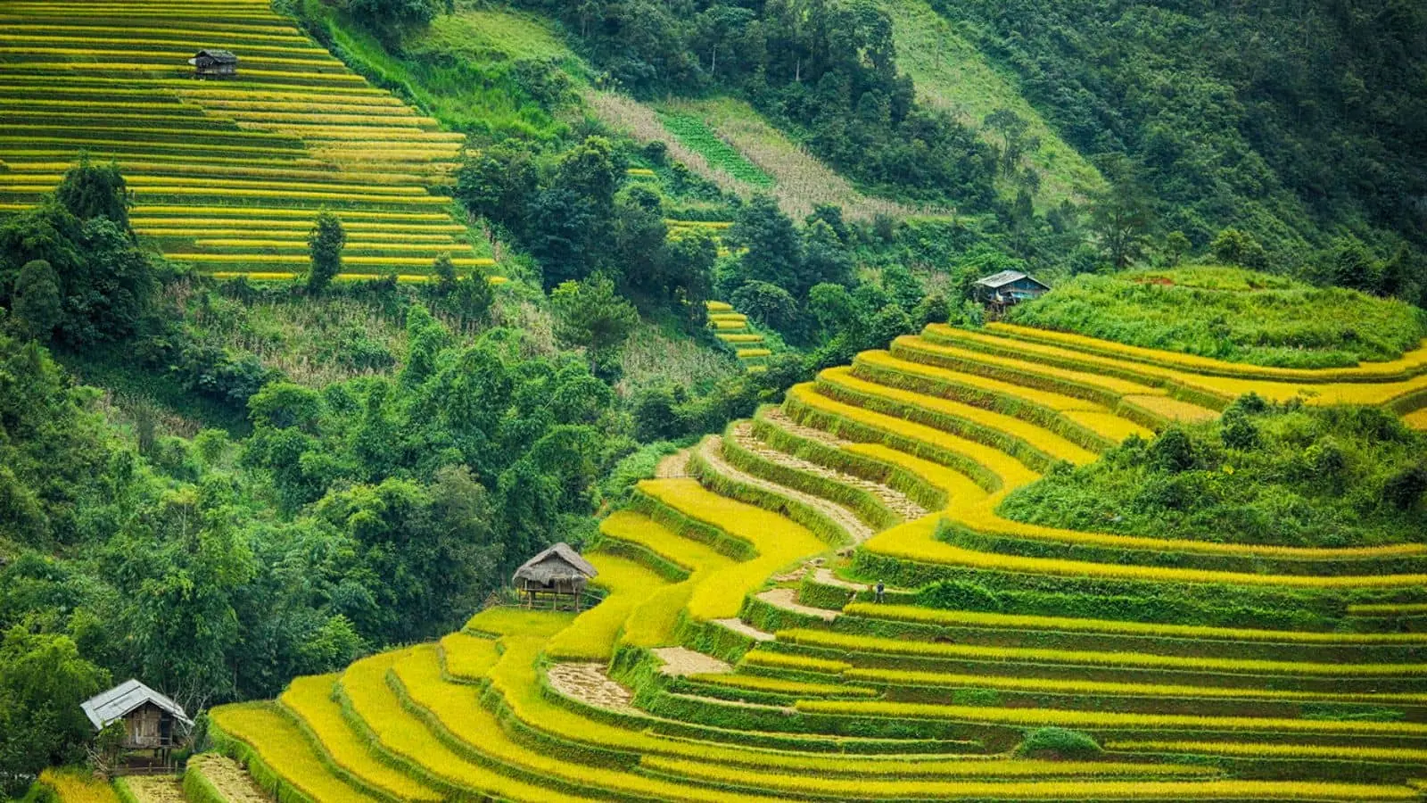 Lịch tr&igrave;nh du lịch H&agrave; Giang 3 ng&agrave;y 2 đ&ecirc;m chi tiết d&agrave;nh cho bạn 2