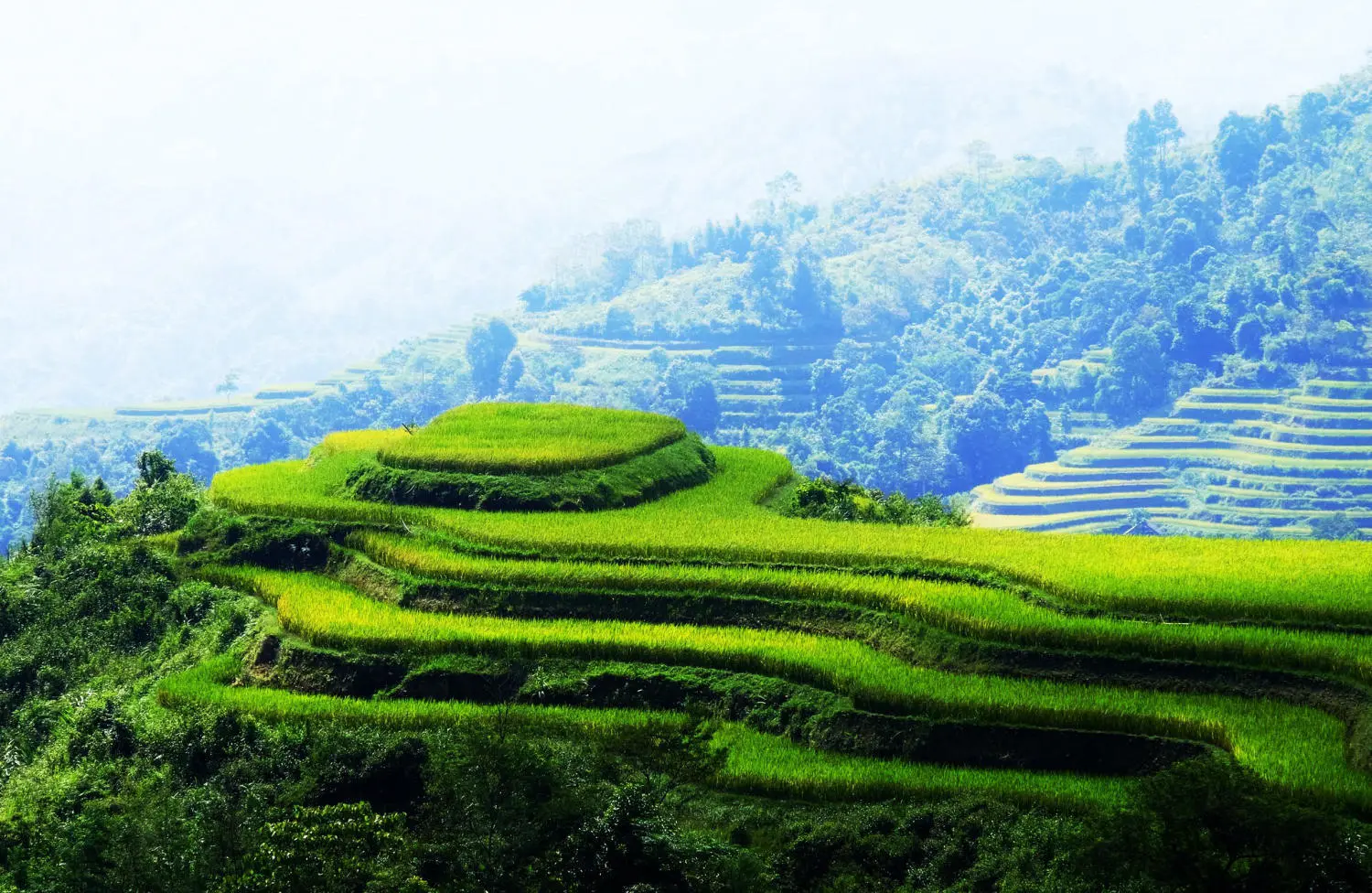 Lịch Tr&igrave;nh trekking v&agrave; trải nghiệm văn h&oacute;a bản địa Ho&agrave;ng Su Ph&igrave; 2