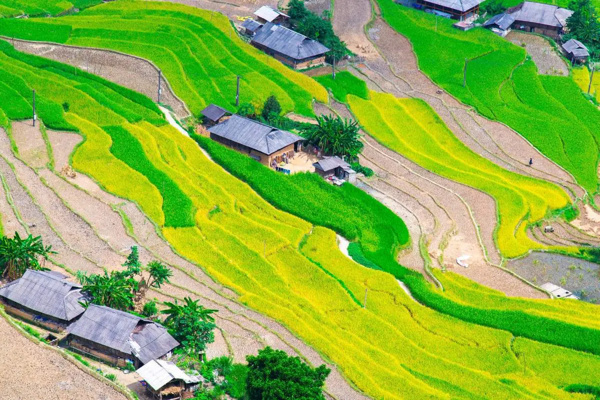 Lịch Tr&igrave;nh trekking v&agrave; trải nghiệm văn h&oacute;a bản địa Ho&agrave;ng Su Ph&igrave; 7