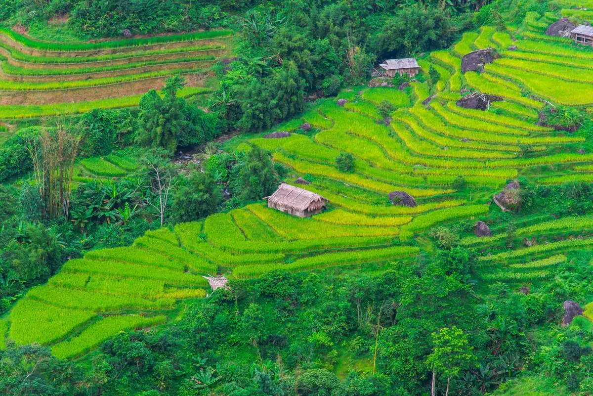 Lịch Tr&igrave;nh trekking v&agrave; trải nghiệm văn h&oacute;a bản địa Ho&agrave;ng Su Ph&igrave; 5