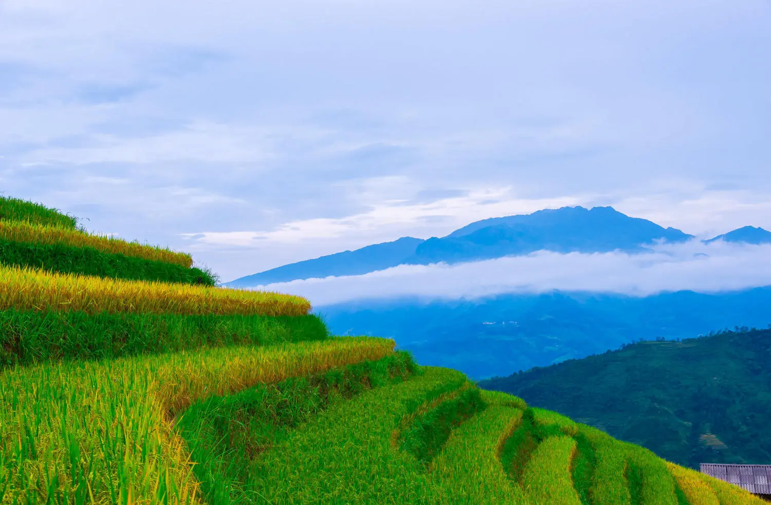 Lịch Tr&igrave;nh trekking v&agrave; trải nghiệm văn h&oacute;a bản địa Ho&agrave;ng Su Ph&igrave; 8
