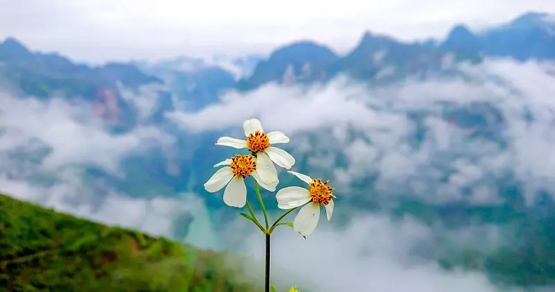 Gợi ý chi tiết lịch trình Hà Giang - Đồng Văn tự túc trong 1N1Đ