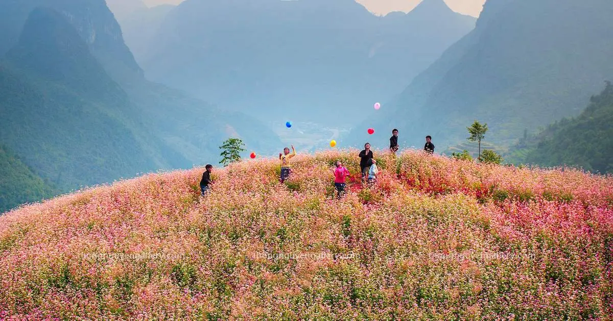 Lịch trình Hà Giang tự túc 2N1Đ cho dân phượt