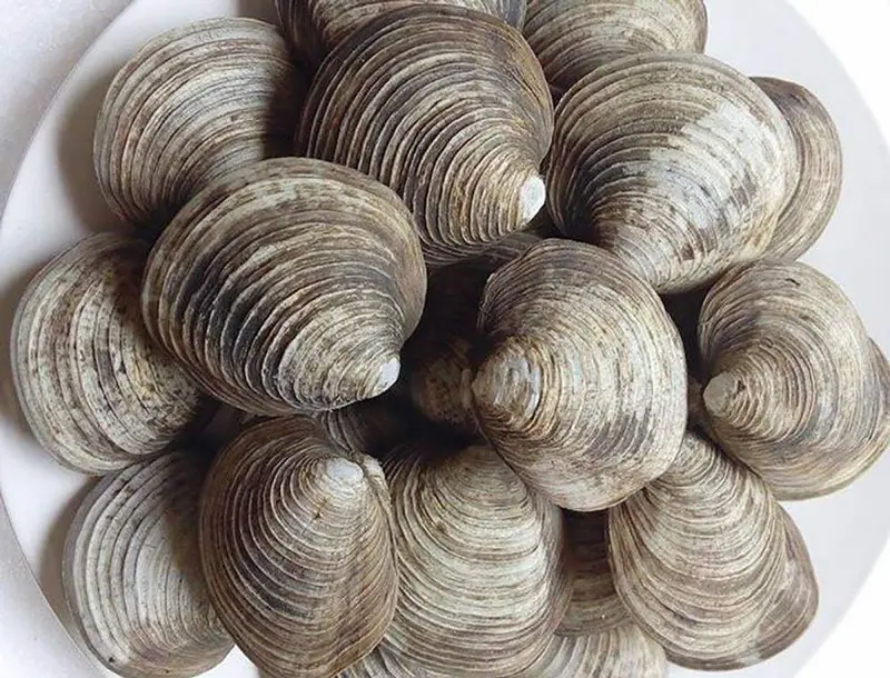Ăn g&igrave; ở Hạ Long, tham khảo ngay danh s&aacute;ch 15+ m&oacute;n ngon nhất 8