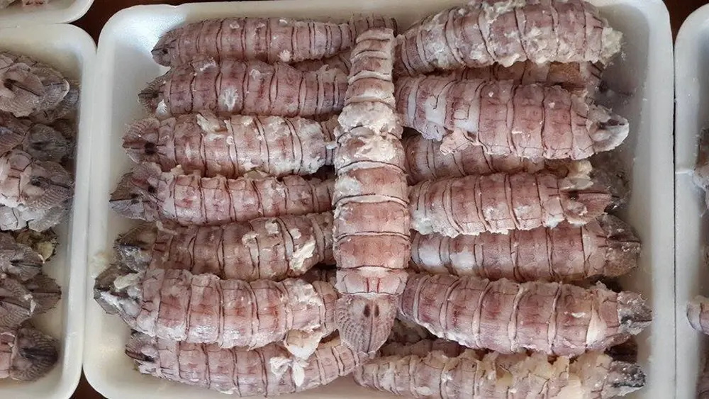 Bề bề Hạ Long v&agrave; những m&oacute;n ăn ngon kh&oacute; cưỡng 8