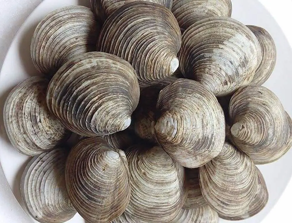 Con ng&aacute;n biển Hạ Long - M&oacute;n ăn đậm chất đất mỏ 3