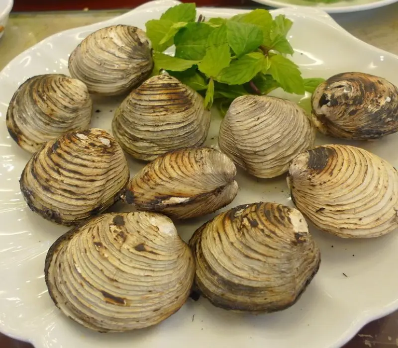 Hải sản Quảng Ninh, tinh hoa ẩm thực từ v&ugrave;ng biển g&acirc;y thương nhớ 3