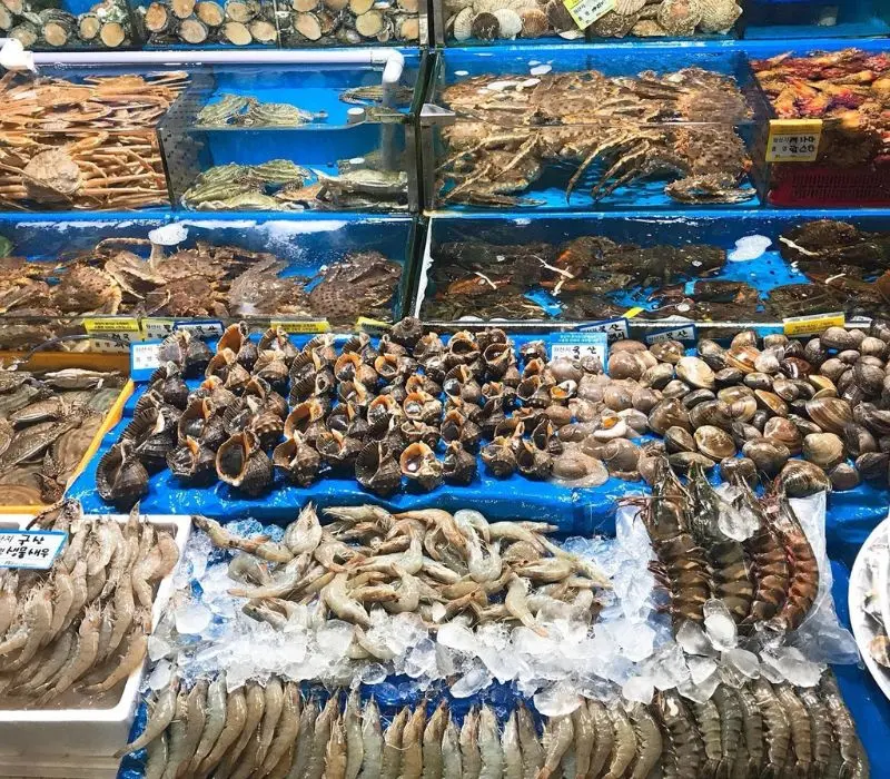 Hải sản Quảng Ninh, tinh hoa ẩm thực từ v&ugrave;ng biển g&acirc;y thương nhớ 13