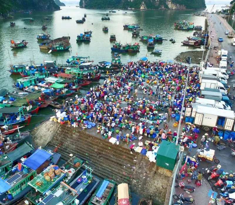 Hải sản Quảng Ninh, tinh hoa ẩm thực từ v&ugrave;ng biển g&acirc;y thương nhớ 12