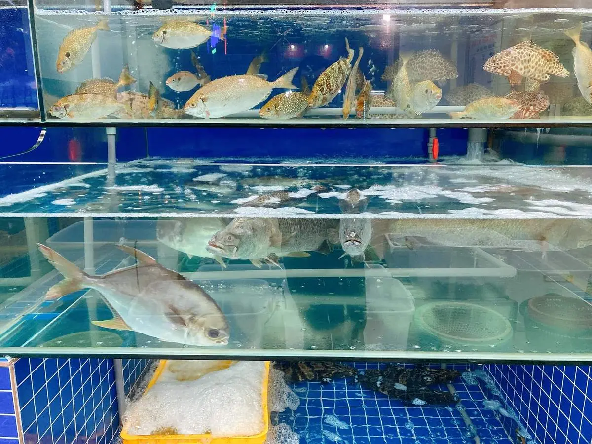Lưu ngay list top 9 nh&agrave; h&agrave;ng Hạ Long n&agrave;y để khỏi bỡ ngỡ 16