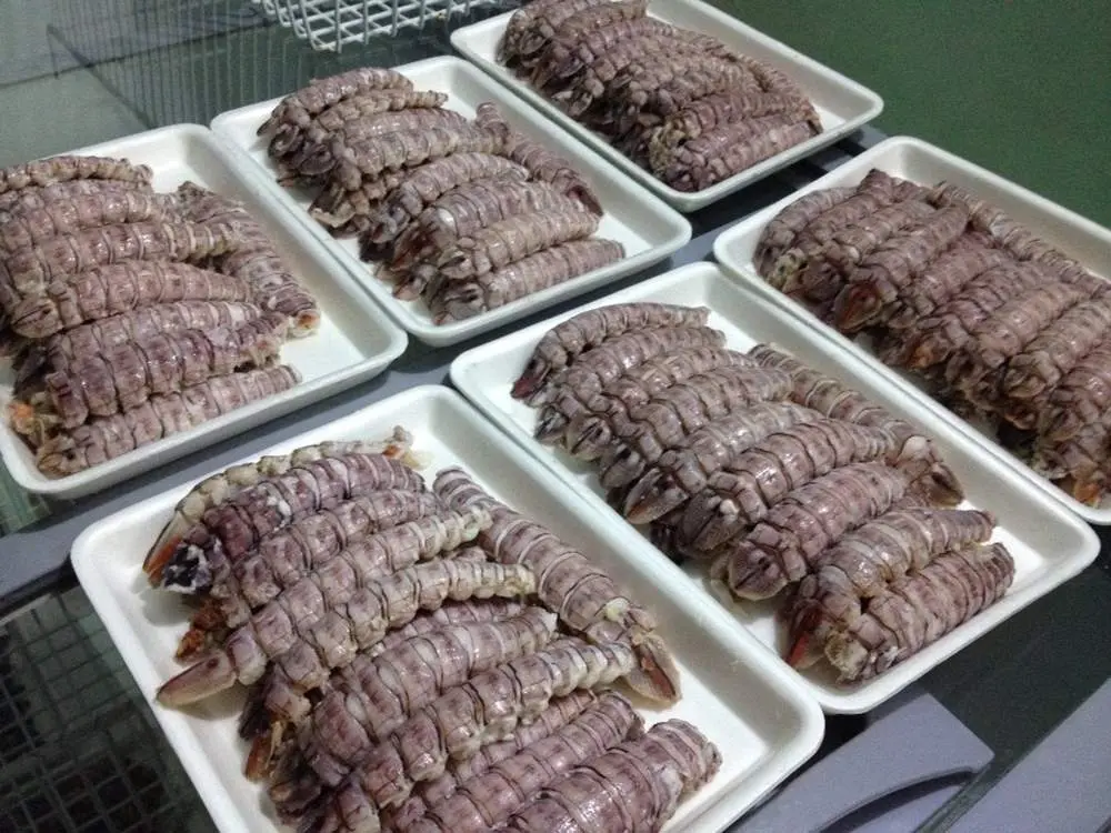 Mê mẩn hương vị bún bề bề Hạ Long thơm ngon khó cưỡng 3