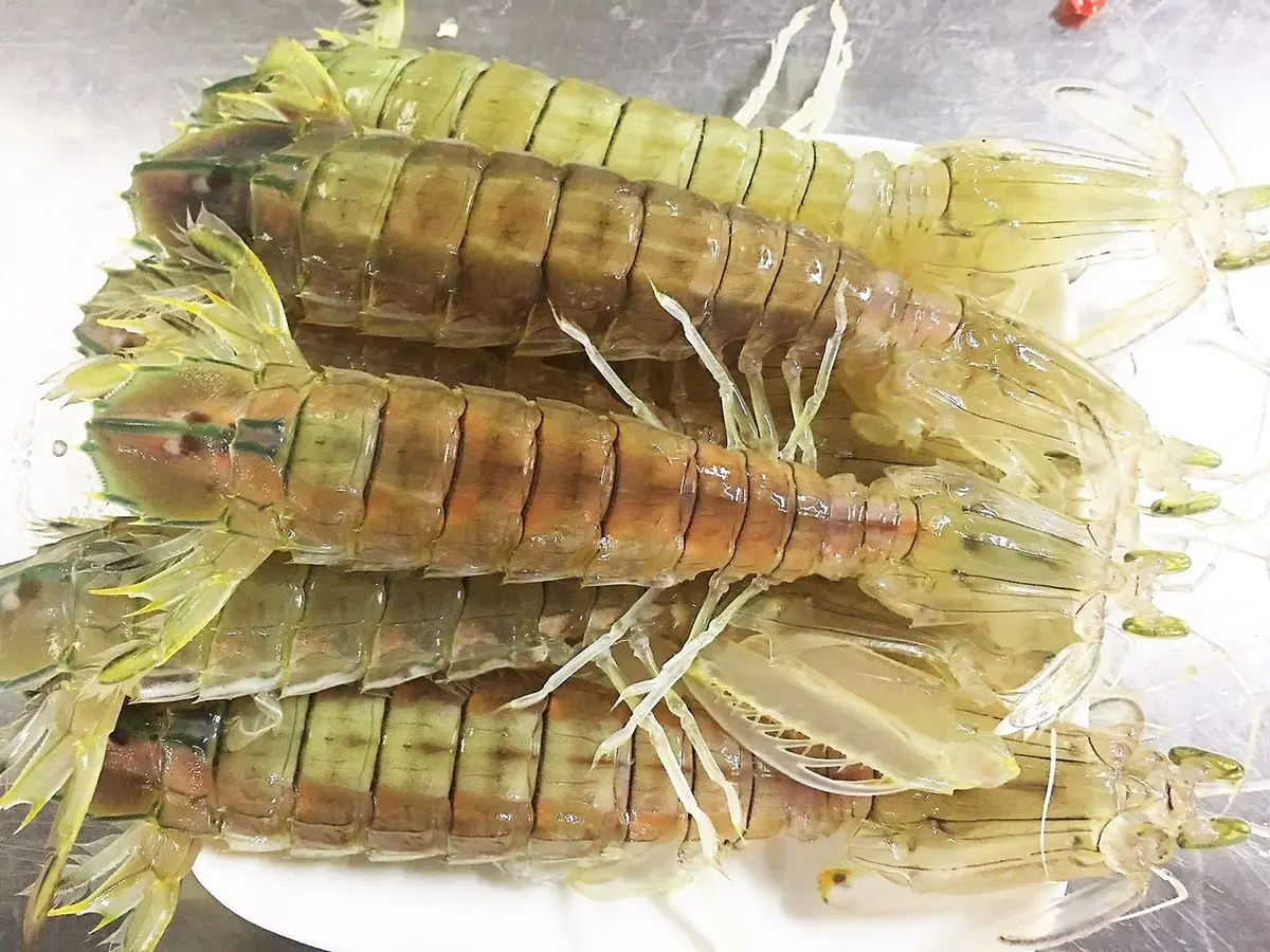 Mê mẩn hương vị bún bề bề Hạ Long thơm ngon khó cưỡng 2