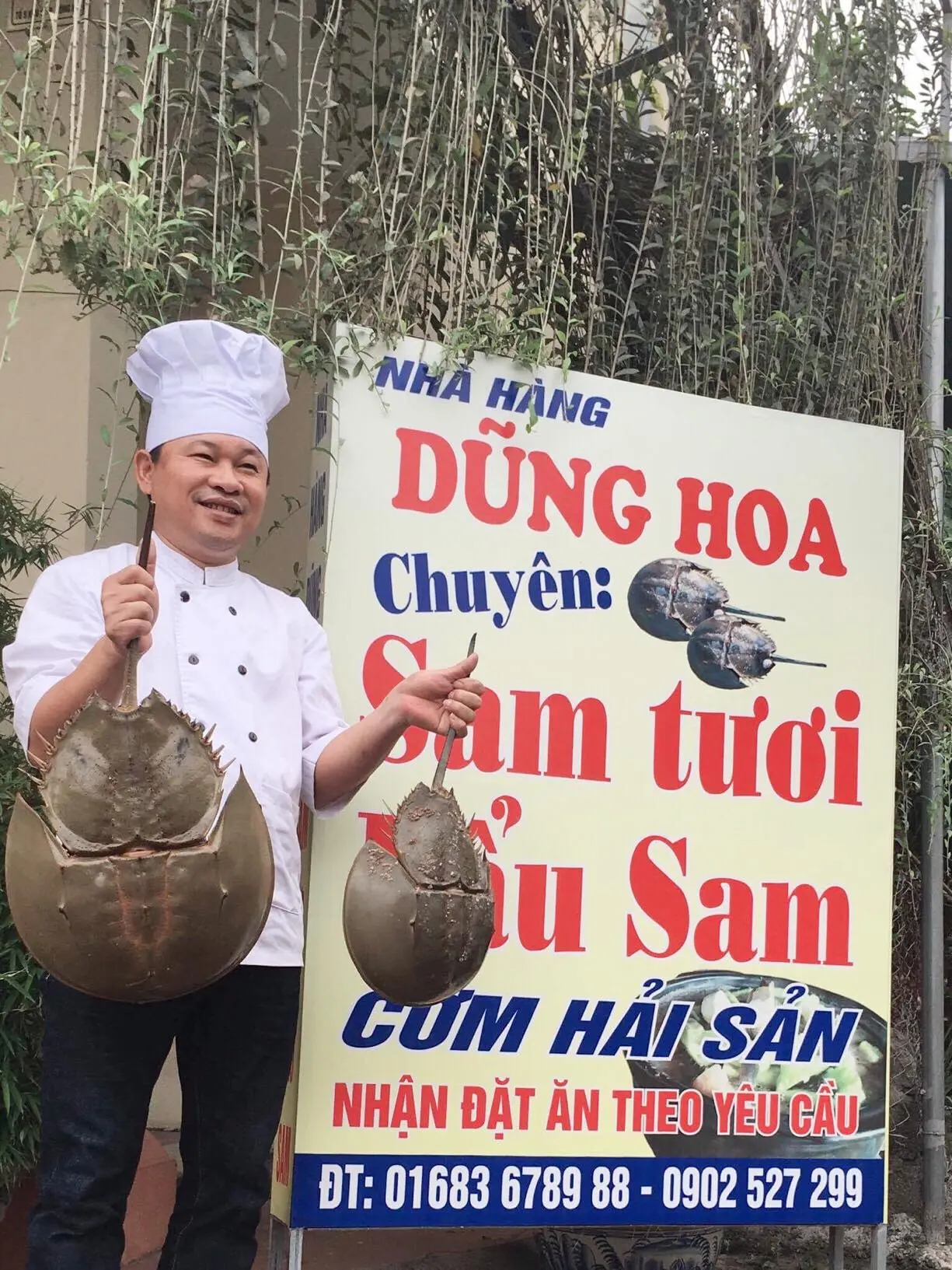 Sam biển Hạ Long v&agrave; những m&oacute;n ngon kh&ocirc;ng thể bỏ lỡ 11