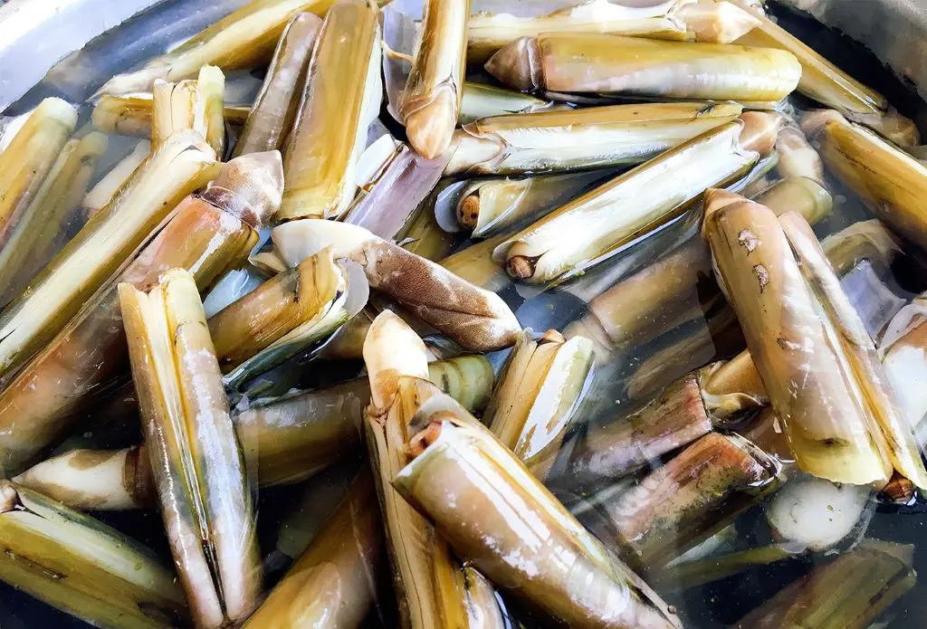 Thơm ngọt với m&oacute;n ốc m&oacute;ng tay chỉ c&oacute; tại v&ugrave;ng biển Quảng Ninh 3
