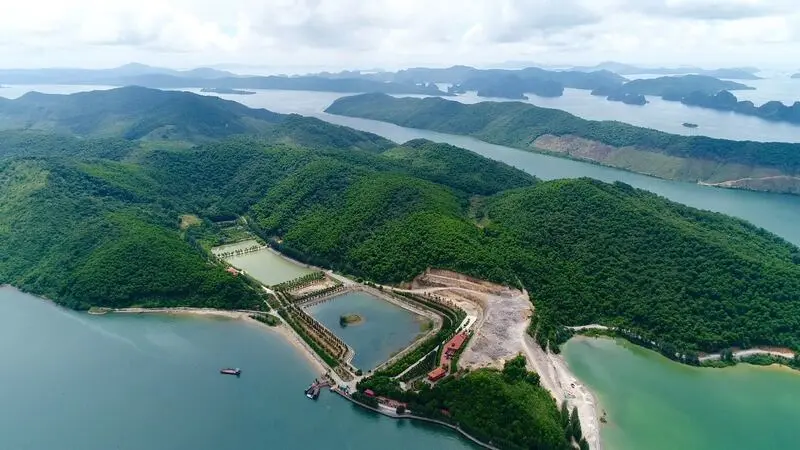 Đảo Thẻ V&agrave;ng Quảng Ninh một vi&ecirc;n ngọc giữa B&aacute;i Tử Long 2