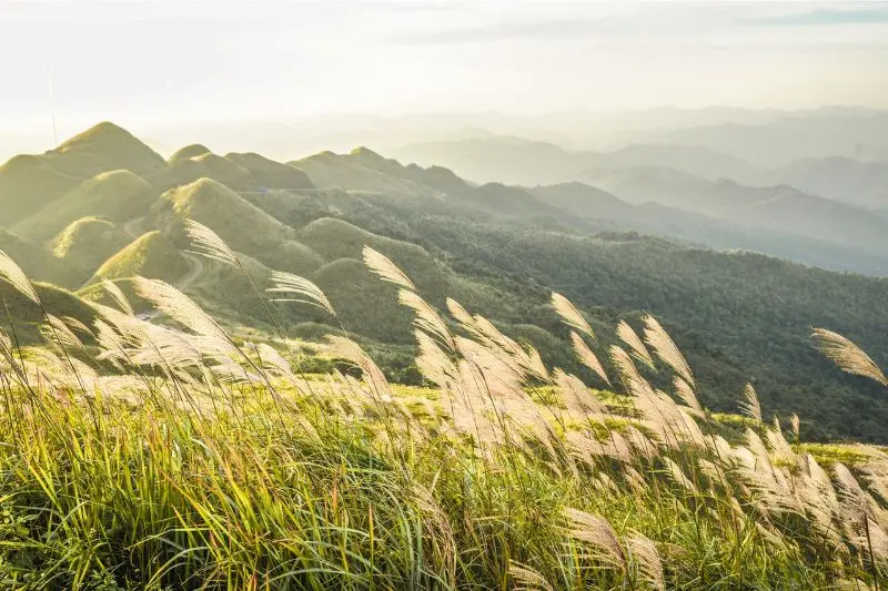 Kinh nghiệm du lịch Quảng Ninh h&egrave; chi tiết cho t&iacute;n đồ x&ecirc; dịch 7