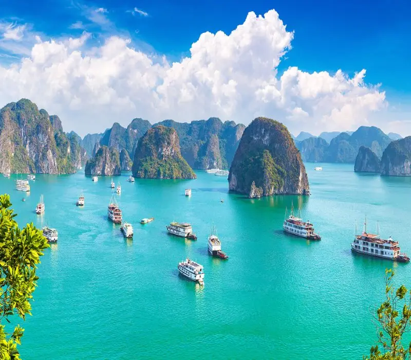 Kinh nghiệm du lịch Quảng Ninh hè chi tiết cho tín đồ xê dịch