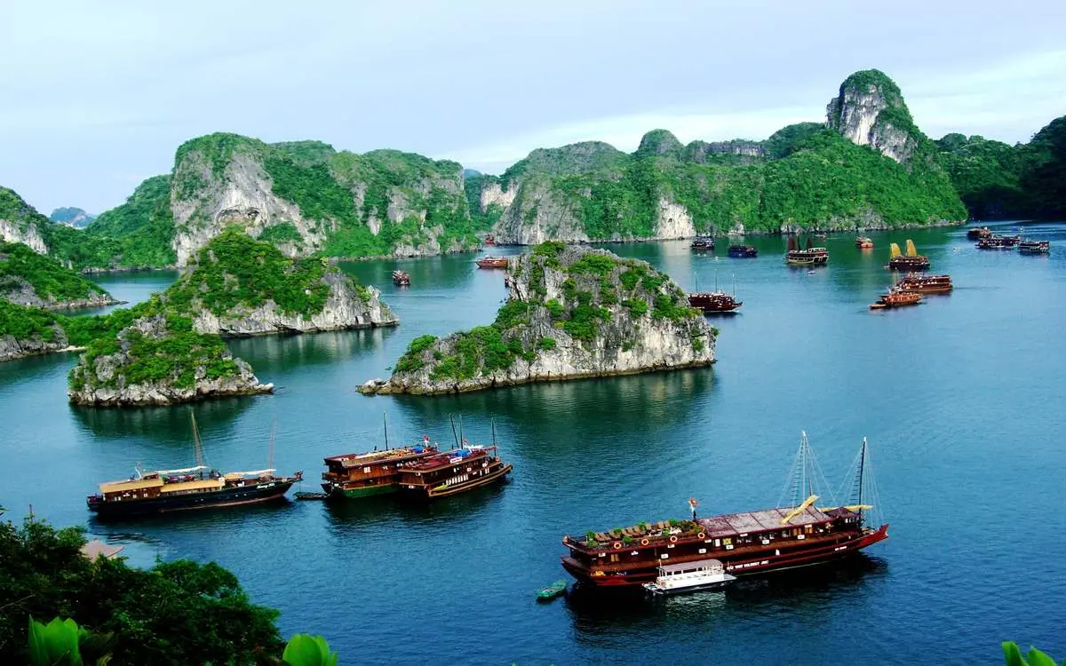 Triển ngay du lịch Vịnh Hạ Long trong ngày cực thú vị