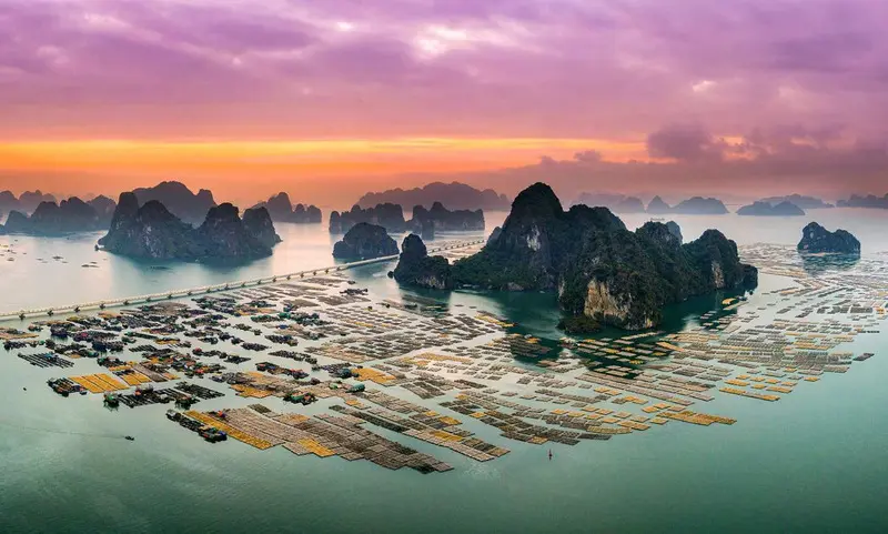 Du lịch Hạ Long 3 ng&agrave;y 2 đ&ecirc;m trải nghiệm trọn vị biển, vui qu&ecirc;n lối về 5