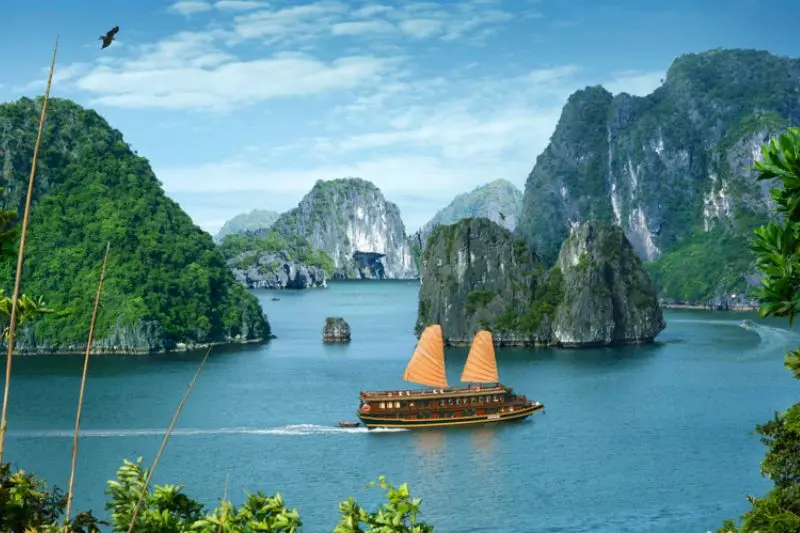 Một ng&agrave;y kh&aacute;m ph&aacute; Vịnh Hạ Long với nhiều trải nghiệm đ&aacute;ng nhớ 2