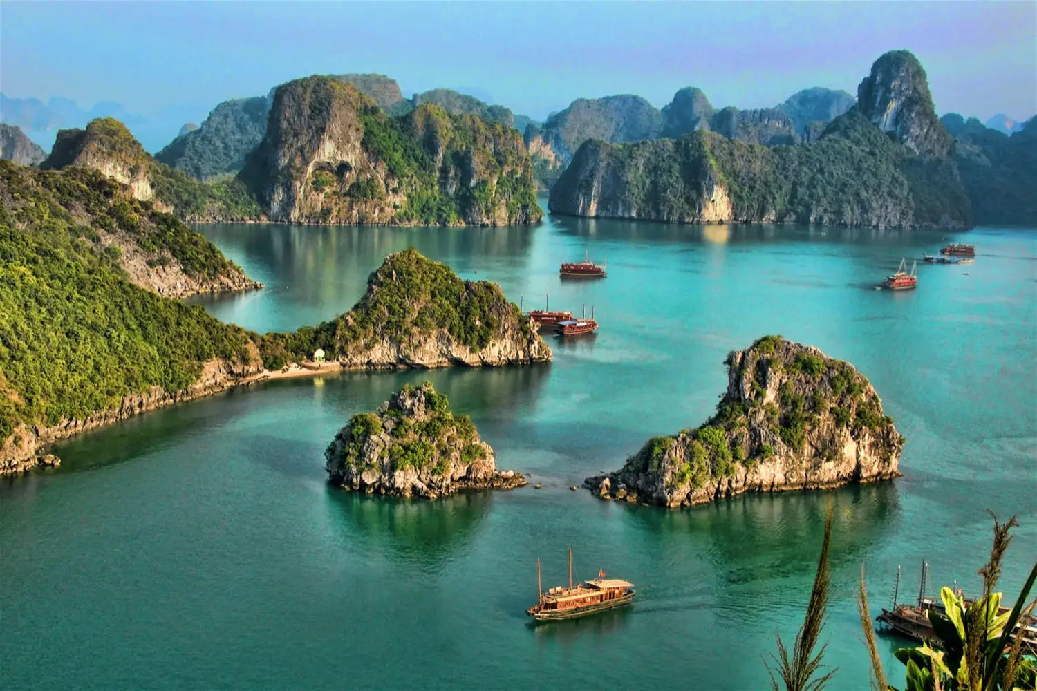 Lịch trình Hạ Long 1 ngày khám phá nhiều điểm đến vô cùng thú vị
