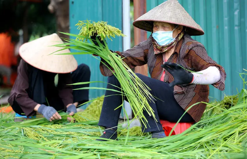8 L&agrave;ng nghề truyền thống l&acirc;u đời tại H&agrave; th&agrave;nh cổ k&iacute;nh 5