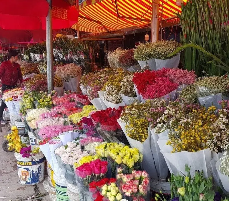Chợ Hoa T&acirc;y Tựu: Thủ phủ hoa đ&ecirc;m sầm uất nhất H&agrave; Nội 4