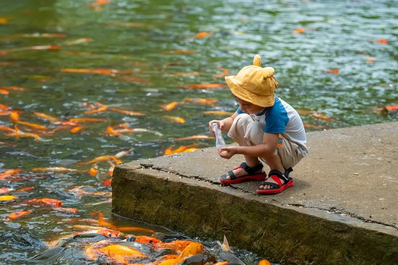 Ch&ugrave;a Khai Nguy&ecirc;n: Chốn t&acirc;m linh nức tiếng v&ugrave;ng Sơn T&acirc;y 9
