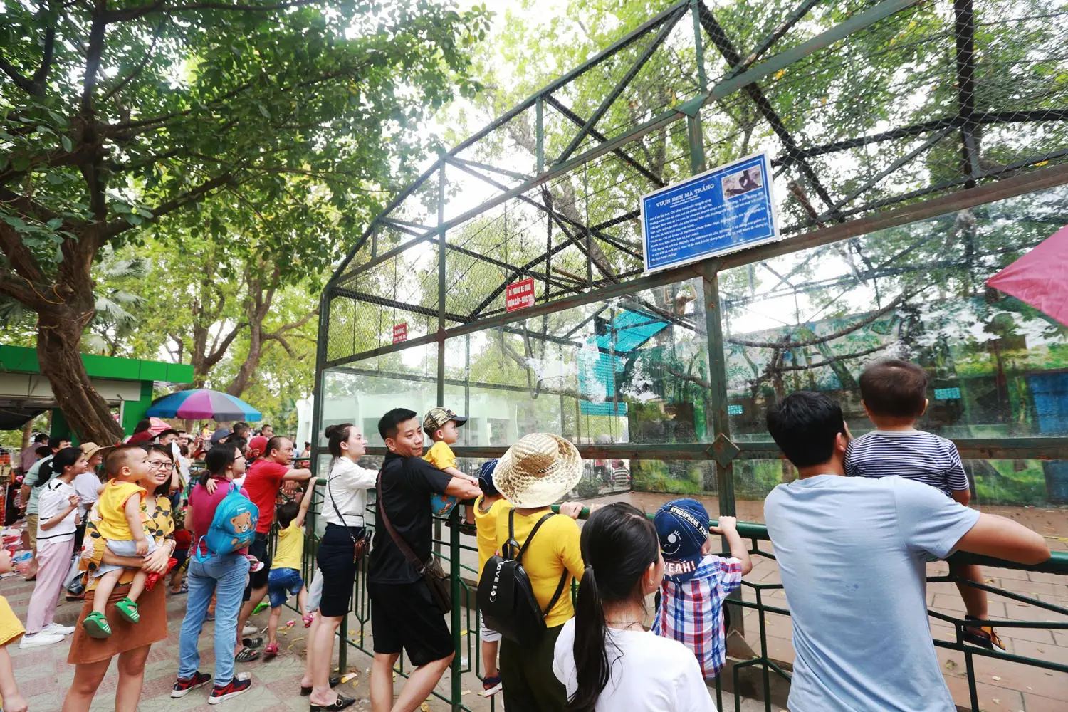 Cuối tuần đến C&ocirc;ng vi&ecirc;n Thủ Lệ t&igrave;m về k&yacute; ức tuổi thơ 2