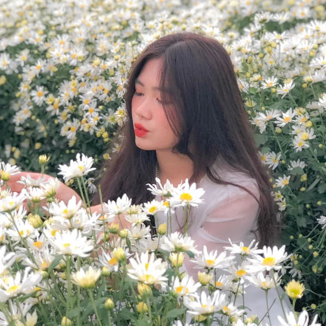 Đến Vườn Hoa Phương Linh, chụp g&oacute;c n&agrave;o cũng c&oacute; ngay ảnh xịn! 6