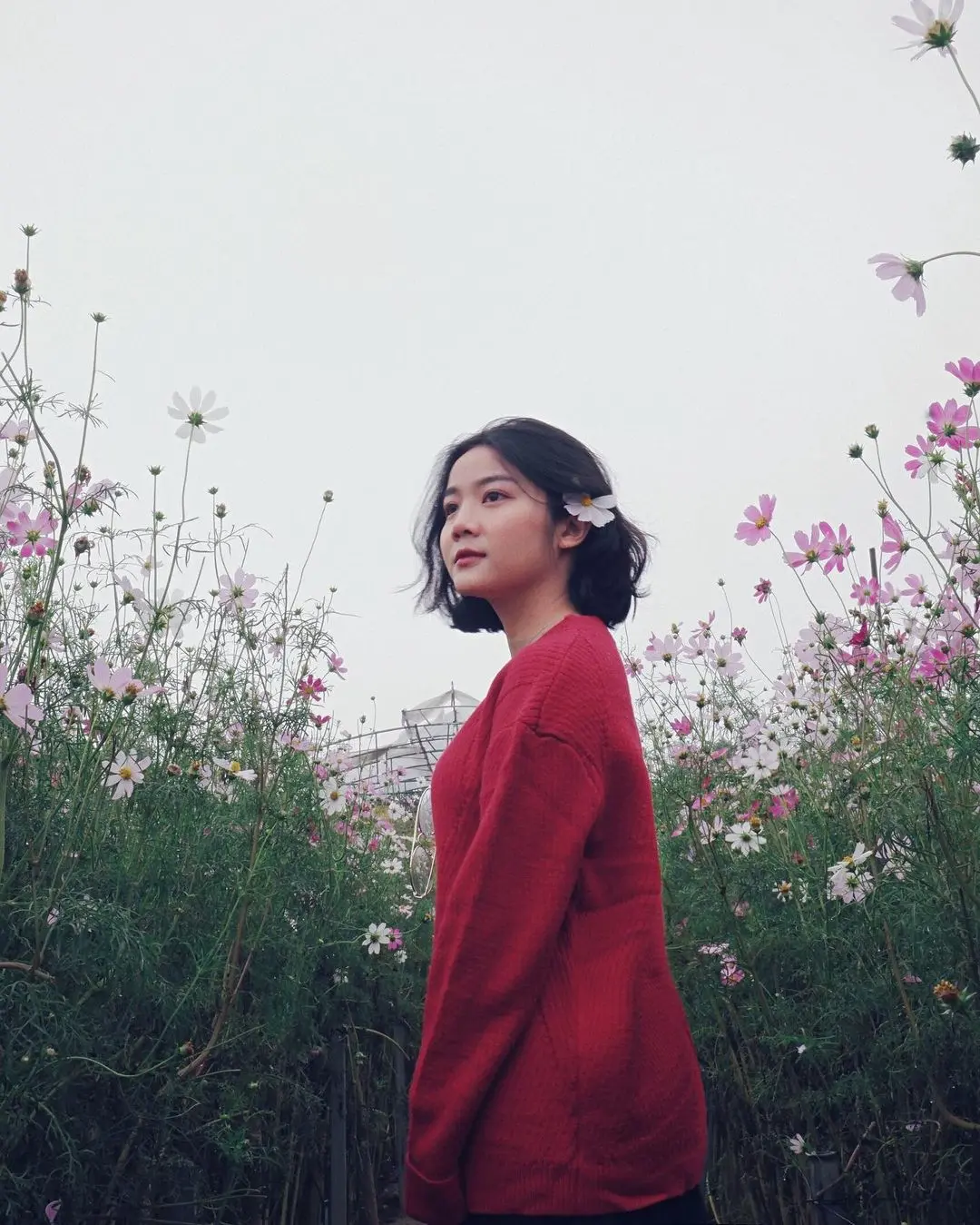 Đến Vườn Hoa Phương Linh, chụp g&oacute;c n&agrave;o cũng c&oacute; ngay ảnh xịn! 2