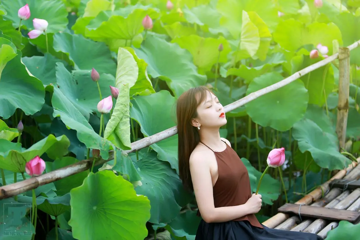 Đừng bỏ lỡ top 5 địa điểm chụp sen quanh H&agrave; Nội đẹp nức tiếng 3