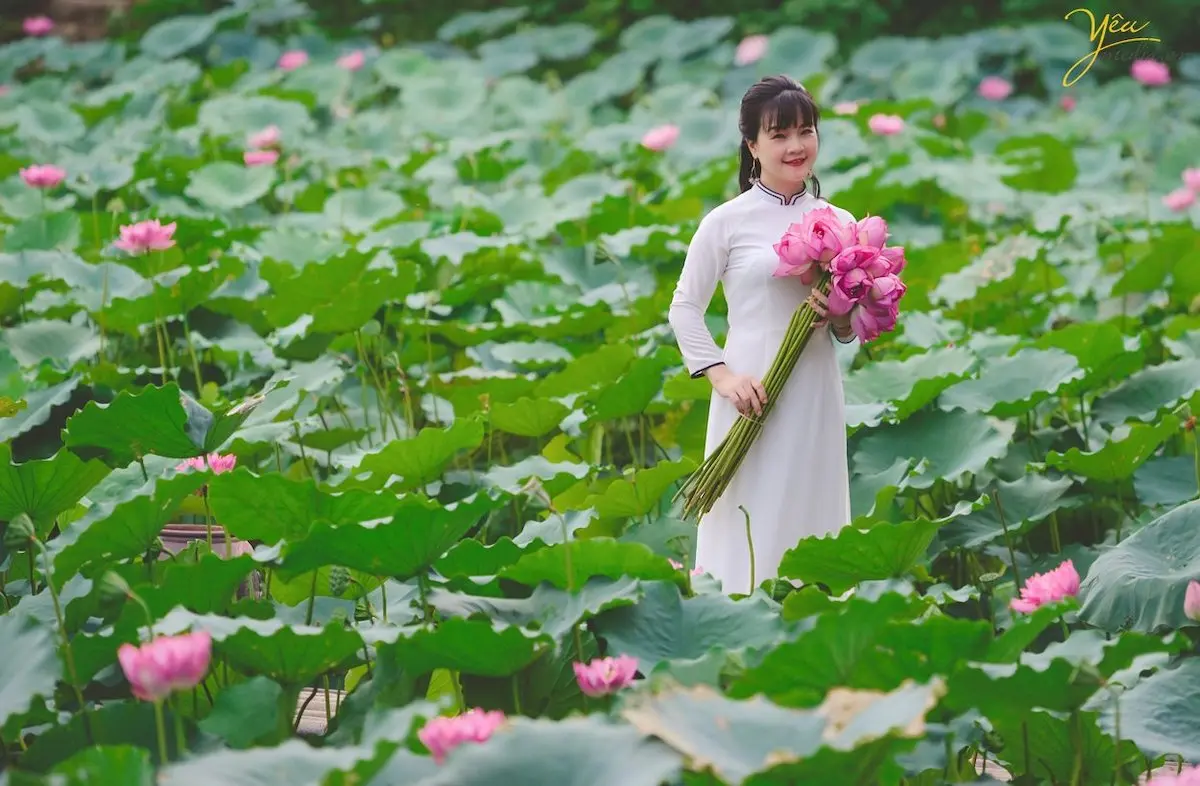 Đừng bỏ lỡ top 5 địa điểm chụp sen quanh H&agrave; Nội đẹp nức tiếng 11