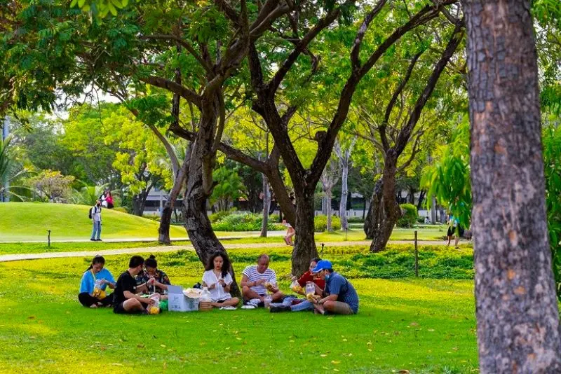 Gh&eacute; c&ocirc;ng vi&ecirc;n Thống Nhất dạo chơi trong l&aacute; phổi xanh của Thủ đ&ocirc; 5