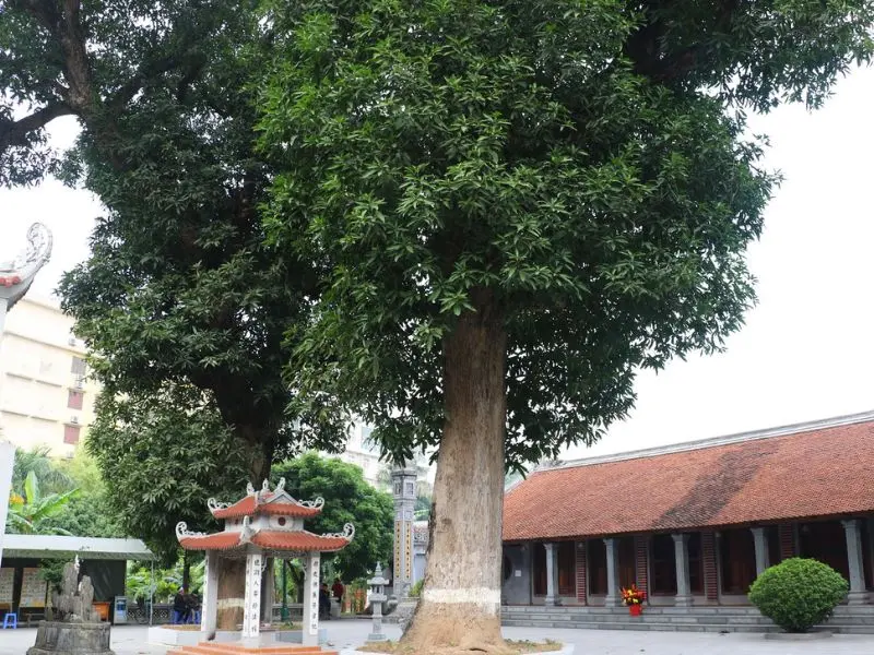 Kh&aacute;m ph&aacute; ch&ugrave;a Th&aacute;nh Ch&uacute;a: Di t&iacute;ch gắn liền với triều đại nh&agrave; L&yacute; 9