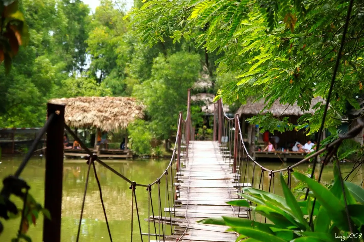 Kh&aacute;m ph&aacute; khu du lịch sinh thái Cọ Xanh - Điểm d&atilde; ngoại hot gần H&agrave; Nội 2