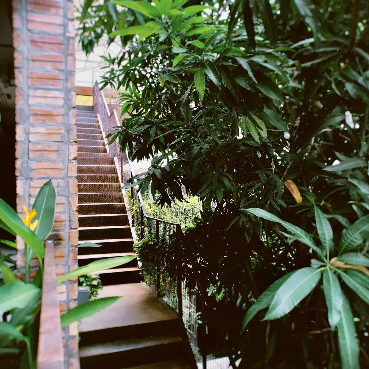 Khám phá tổ hợp giải trí COMPLEX 01 gây sốt giới trẻ Hà Thành 9