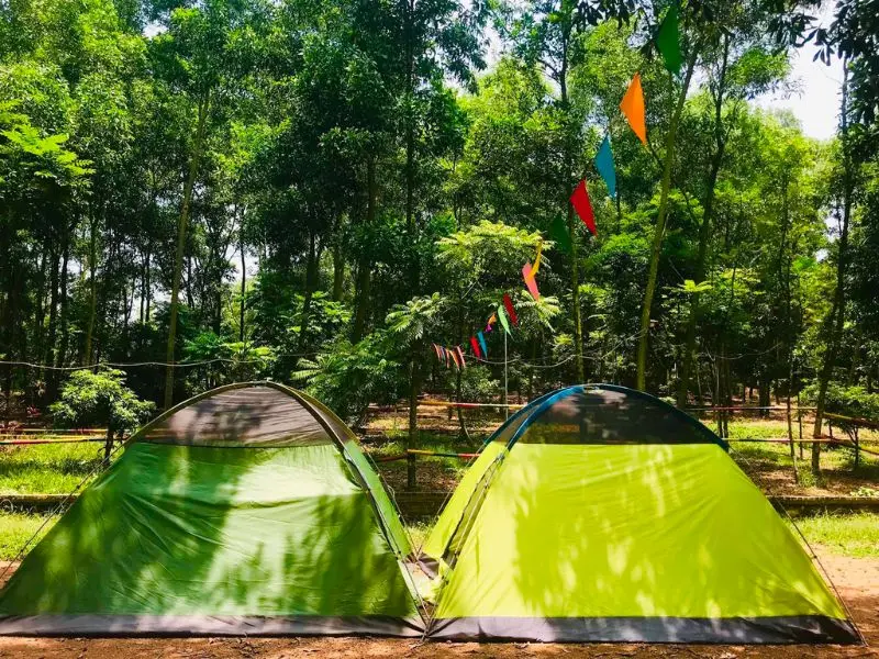 Khu sinh th&aacute;i Hồ Đồng Quan với vẻ đẹp thi&ecirc;n nhi&ecirc;n 'rất Đ&agrave; Lạt' 11