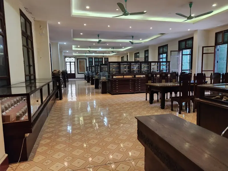 Kinh nghiệm tham quan Bảo t&agrave;ng Địa chất H&agrave; Nội chi tiết nhất 6