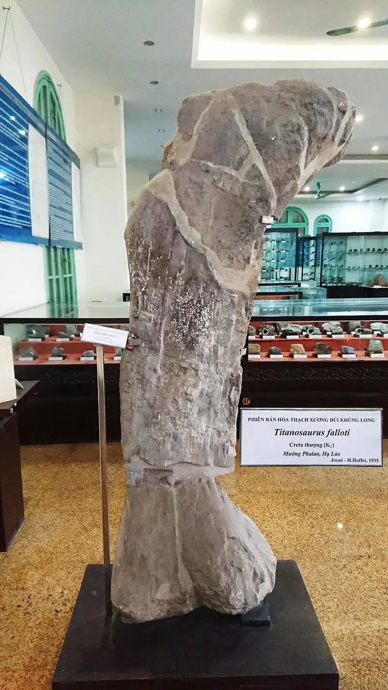 Kinh nghiệm tham quan Bảo t&agrave;ng Địa chất H&agrave; Nội chi tiết nhất 7