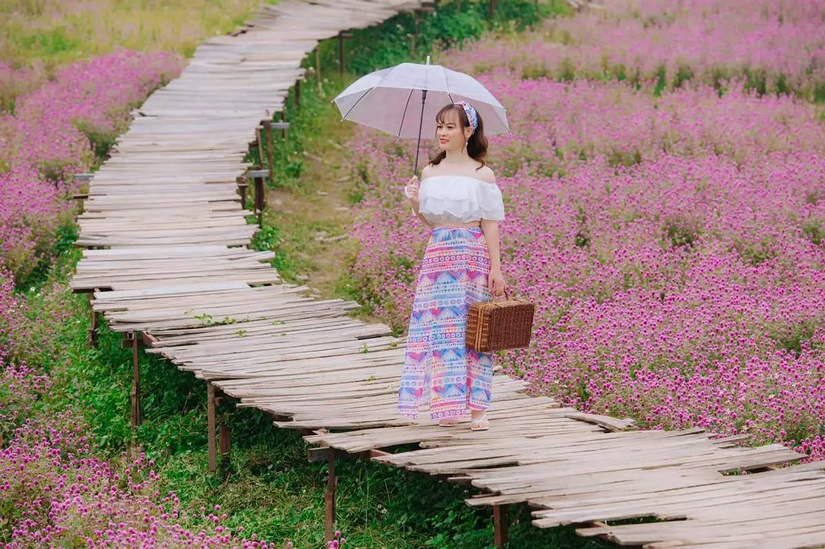 Lạc giữa thảo nguy&ecirc;n hoa Long Bi&ecirc;n ngập tr&agrave;n sắc m&agrave;u 6