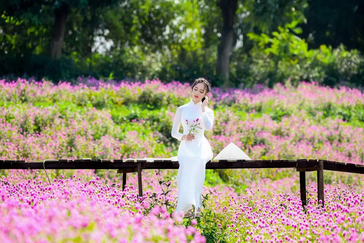 Lạc giữa thảo nguy&ecirc;n hoa Long Bi&ecirc;n ngập tr&agrave;n sắc m&agrave;u 8