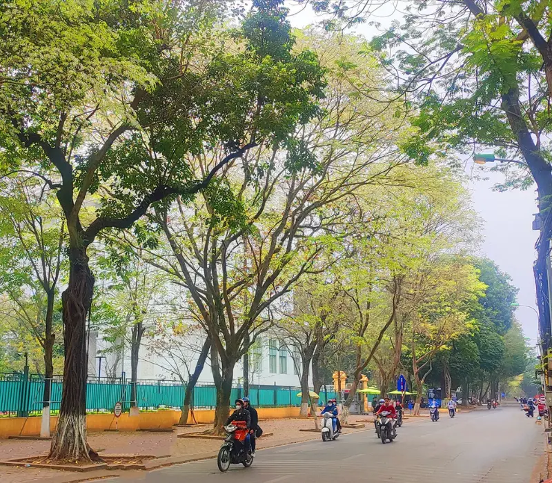 Phố Đặng Văn Ngữ c&oacute; g&igrave;? Kh&aacute;m ph&aacute; từ A đến Z 2