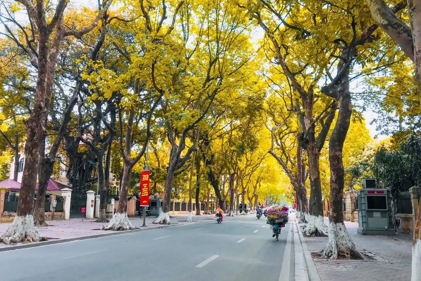 Tận hưởng mùa thu Hà Nội đẹp rung động lòng người 3