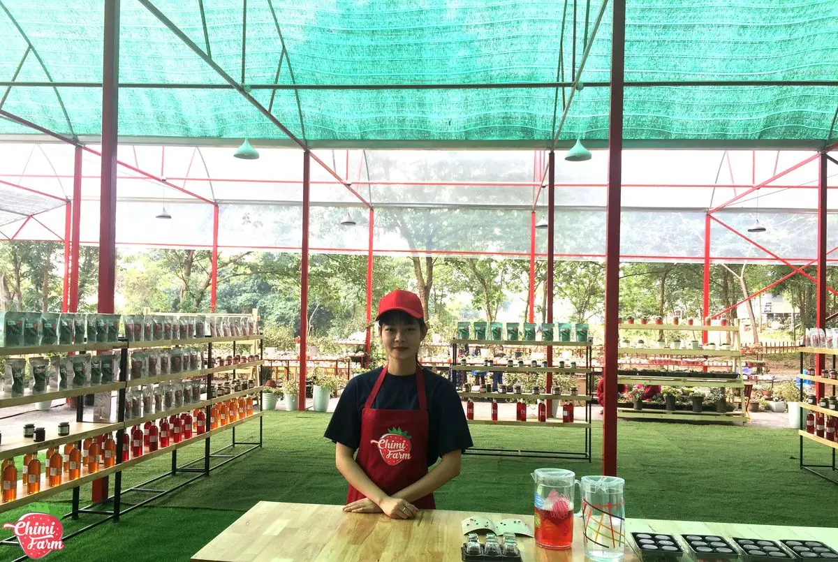 Thăm n&ocirc;ng trại d&acirc;u t&acirc;y Chimi Farm H&agrave; Nội nổi tiếng nhất thủ đ&ocirc; 7