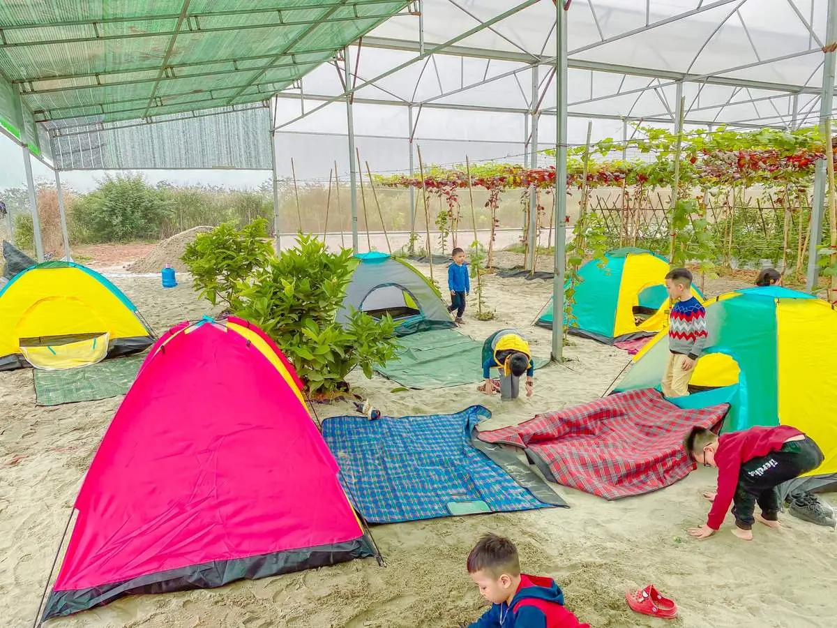 Thăm n&ocirc;ng trại d&acirc;u t&acirc;y Chimi Farm H&agrave; Nội nổi tiếng nhất thủ đ&ocirc; 3