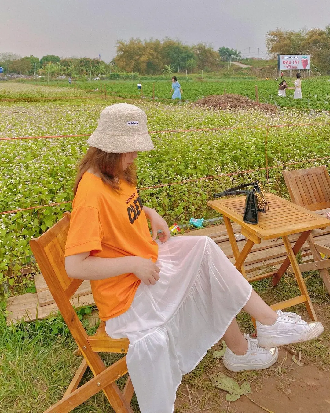 Thăm n&ocirc;ng trại d&acirc;u t&acirc;y Chimi Farm H&agrave; Nội nổi tiếng nhất thủ đ&ocirc; 8