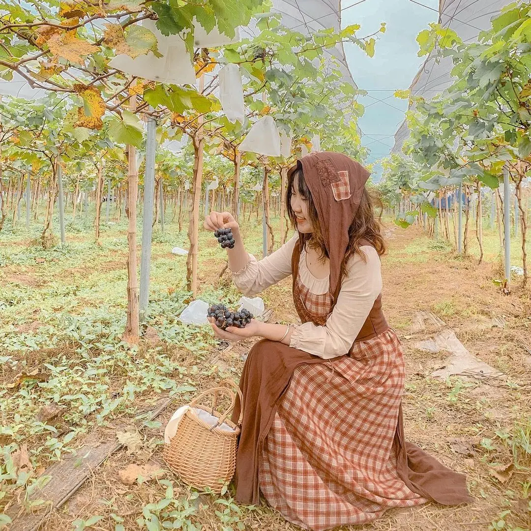 Thăm n&ocirc;ng trại d&acirc;u t&acirc;y Chimi Farm H&agrave; Nội nổi tiếng nhất thủ đ&ocirc; 9